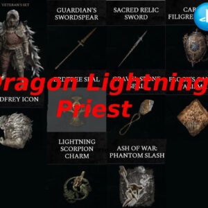 wlswn ring Dragon Lightning Priest Build